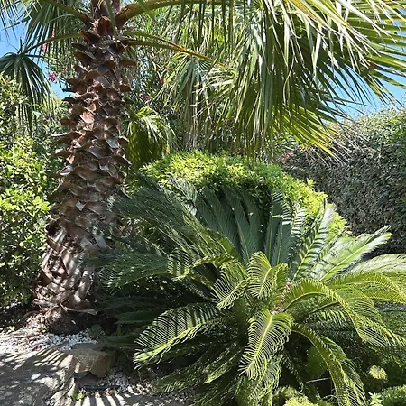 Spacieuse Avec Piscine Privative A